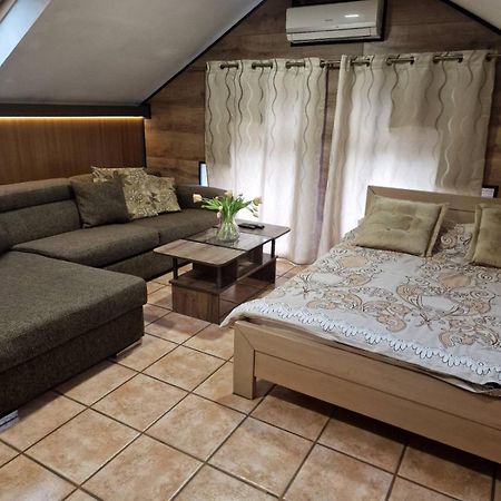 Guest House Maja Novi Sad Extérieur photo