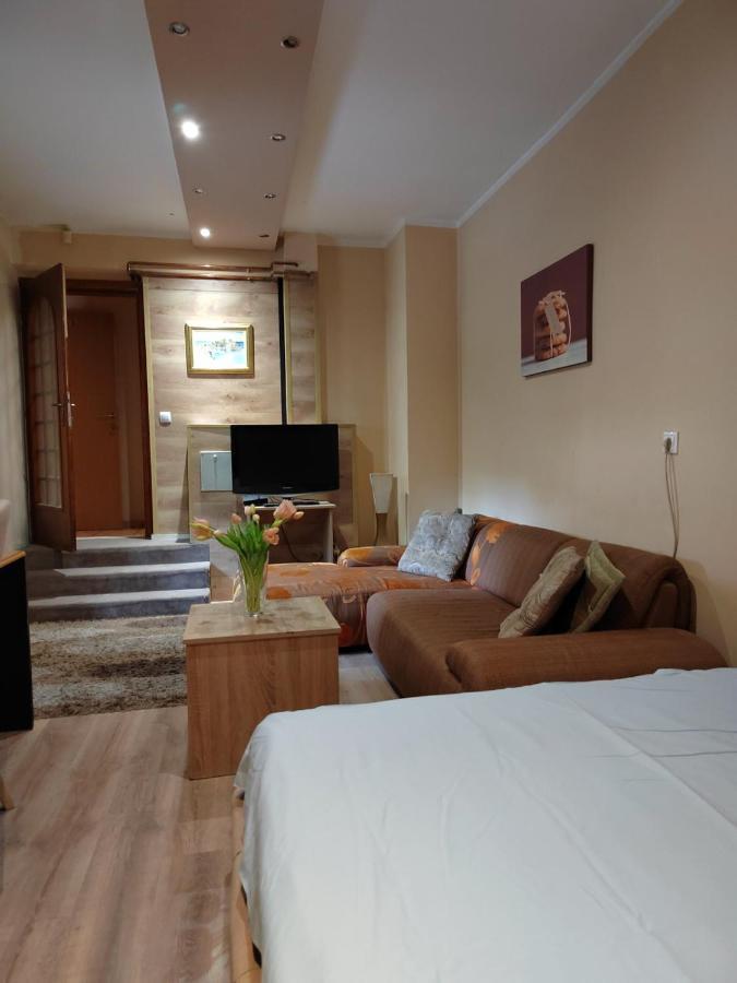 Guest House Maja Novi Sad Extérieur photo