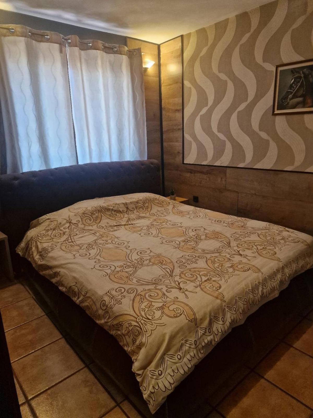 Guest House Maja Novi Sad Extérieur photo